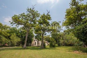 Finca Mercedes Tetecala Morelos