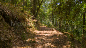 Terreno Rancho de Paso Hondo, Lote 15