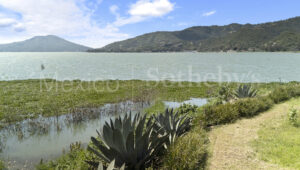 Terreno LakeFront
