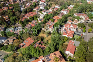 Terreno Bosque de Framboyanes