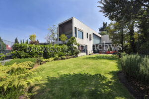 Privada de Olmos, Bosque de las Lomas