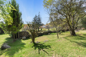 Rancho Los Muros