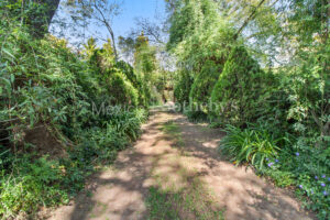 Rancho Los Muros