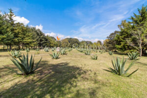 Rancho Los Muros