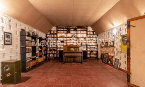 Nancarrow Studios (design and murals by Juan O’Gorman)
