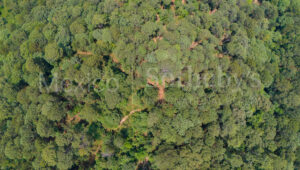 Terreno Rancho de Paso Hondo, Lote 12