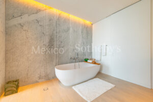 Ritz Carlton Residencial Piso 49