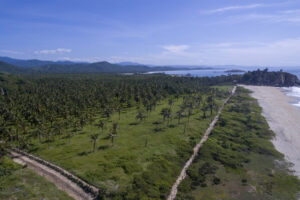 Roca Ahumada