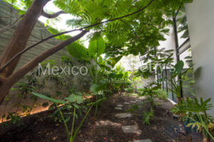 Paseo de las Flores Paraiso Country Club
