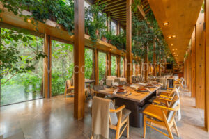 Lote 41 Fase III en Mazaua Valle de Bravo.