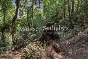 Terreno Manantial Acatitlan