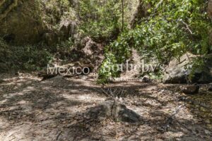 Terreno Manantial Acatitlan