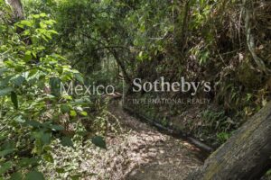 Terreno Manantial Acatitlan