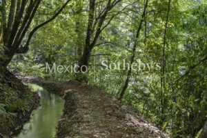 Terreno Manantial Acatitlan