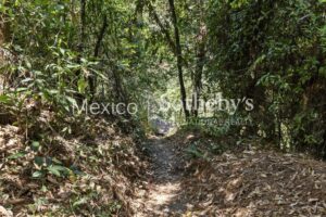 Terreno Manantial Acatitlan