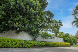 Terreno San Juan