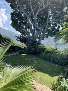 Hacienda Las Luciérnagas