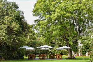 Casa Bugambilia Tepoztlan