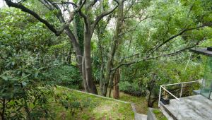 Terreno Parque Via – Sierra Mijes