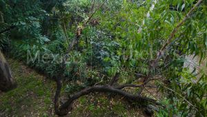 Terreno Parque Via – Sierra Mijes