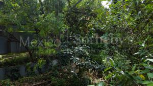 Terreno Parque Via – Sierra Mijes