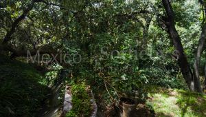 Terreno Parque Via – Sierra Mijes