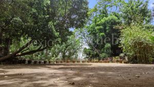 Terreno Parque Via – Sierra Mijes