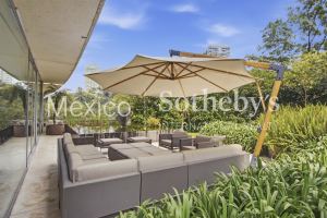 Garden La Punta