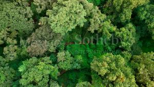 Terreno En Venta En Lomas De Vista Hermosa, Cuajimalpa – Photo 9