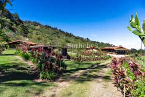 Finca Palo Alto
