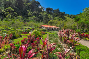 Finca Palo Alto