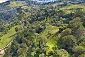 Finca Palo Alto