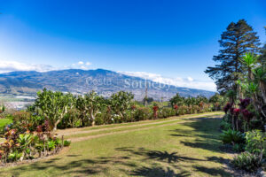 Finca Palo Alto