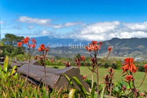 Finca Palo Alto