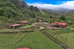 Finca Palo Alto