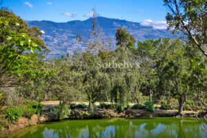 Finca Palo Alto