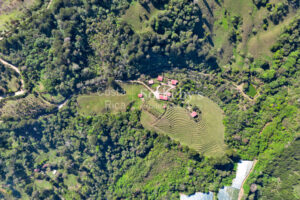Finca Palo Alto
