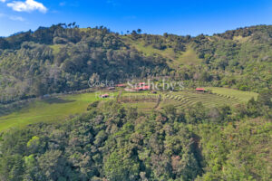 Finca Palo Alto
