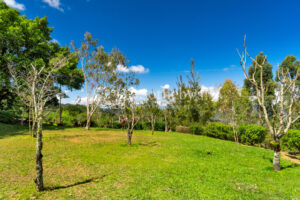 Finca Palo Alto