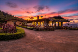 Finca Palo Alto