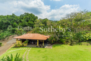 Beautiful Coffee Farm in Naranjo