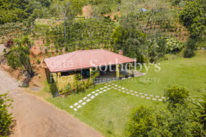 Beautiful Coffee Farm in Naranjo