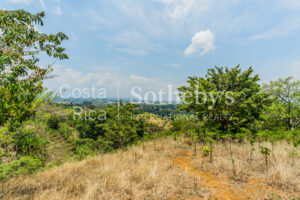 Beautiful Coffee Farm in Naranjo