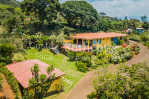 Beautiful Coffee Farm in Naranjo