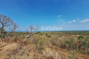 Pinilla 2HA Development Property