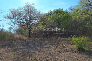 Pinilla 2HA Development Property