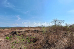 Pinilla 2HA Development Property