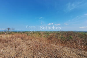 Pinilla 2HA Development Property