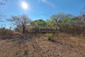 Pinilla 2HA Development Property