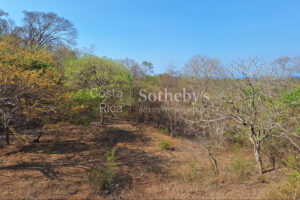 Pinilla 2HA Development Property